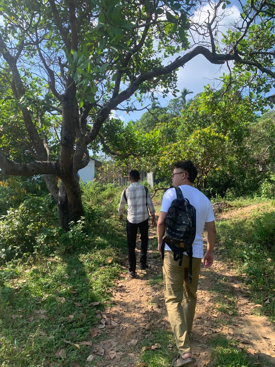 Field teams collecting data