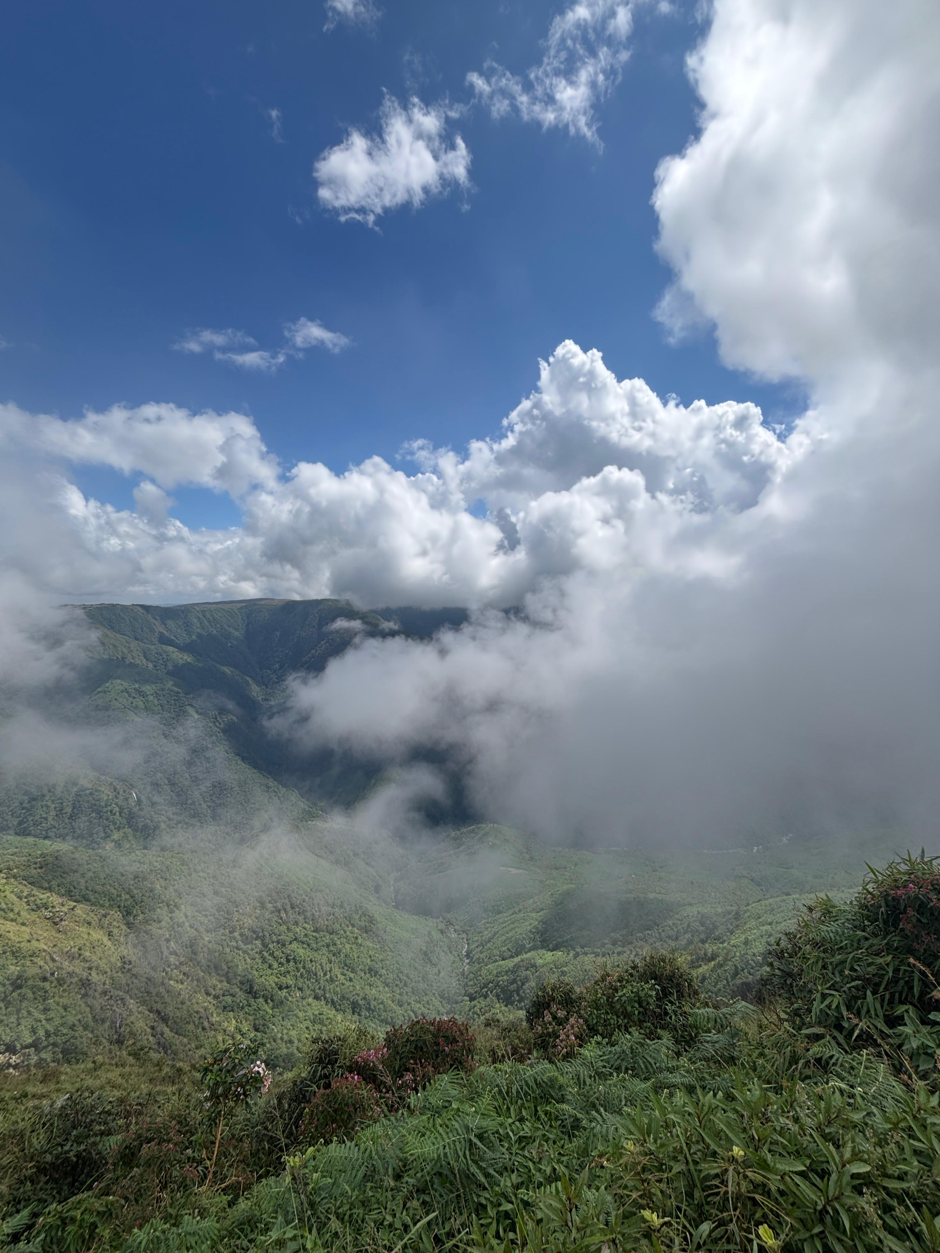 Landscape monitoring and verification